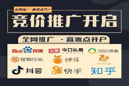 SEM代运营机构案例分析：优化策略详解